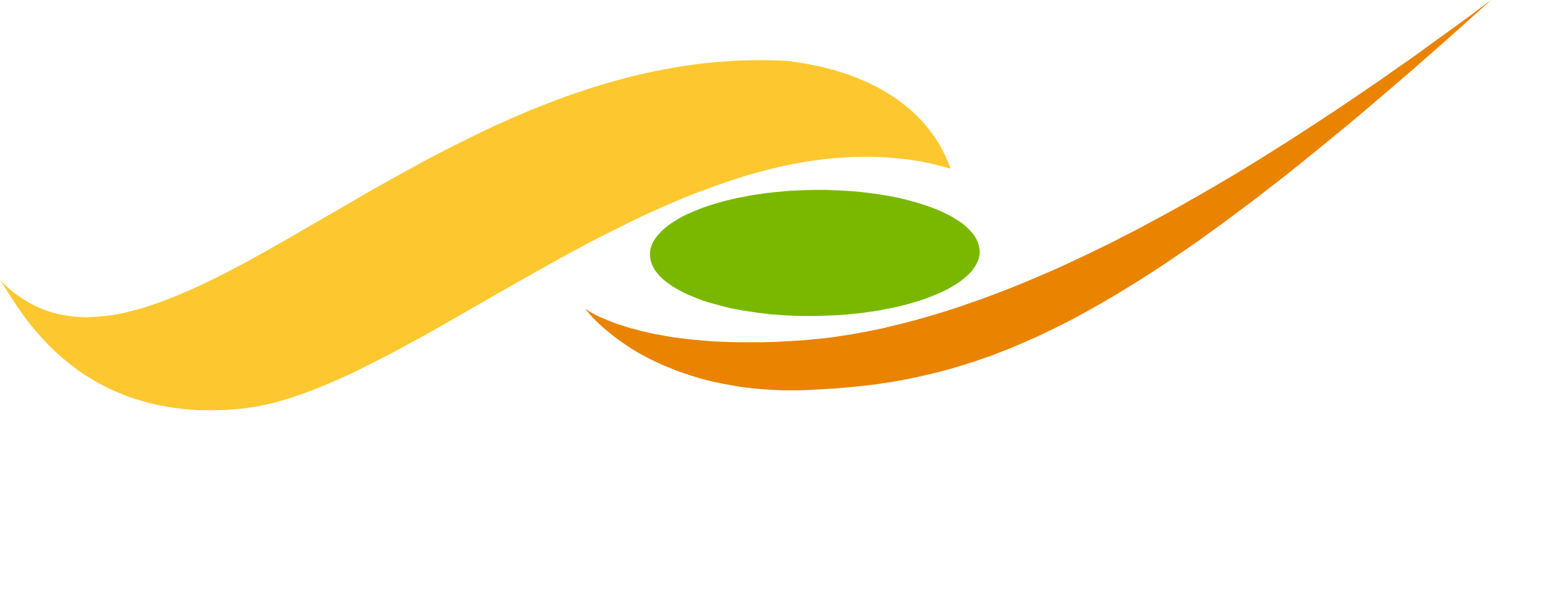 Safe Software logo
